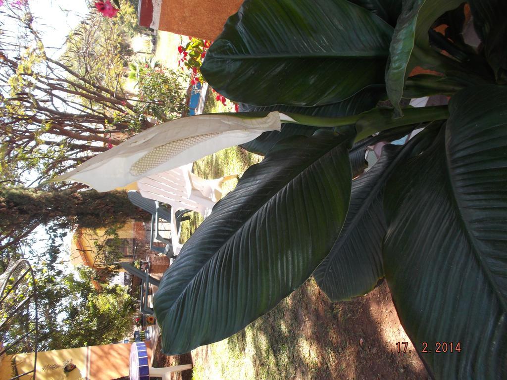 Charlys-Bungalows Hotel Margaritas Quarto foto